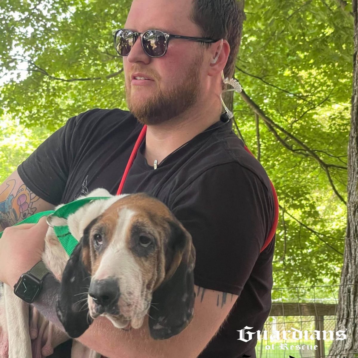 hart county ky animal control fontsizeforresearchposter